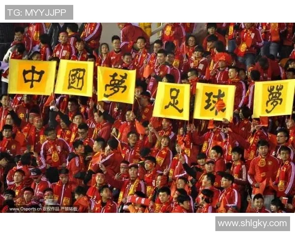 足球明星与中国球迷关系的多维考察与情感互动分析