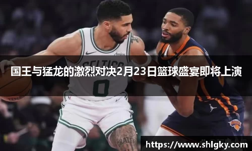 国王与猛龙的激烈对决2月23日篮球盛宴即将上演