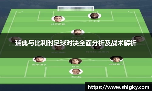 瑞典与比利时足球对决全面分析及战术解析